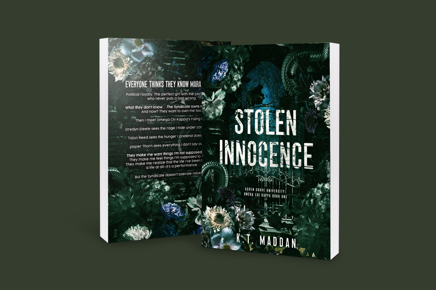 Stolen Innocence - Omega Chi Kappa BOOK ONE SIGNED