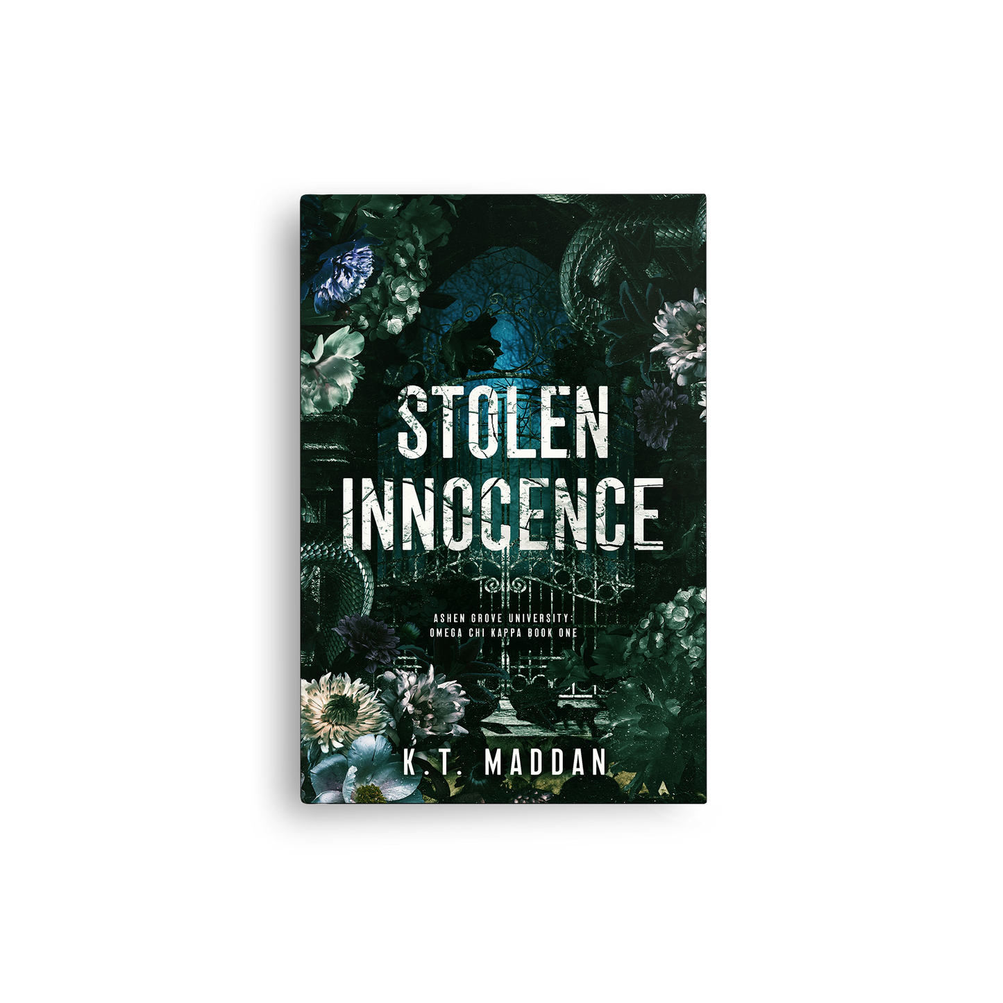 Stolen Innocence - Omega Chi Kappa BOOK ONE SIGNED