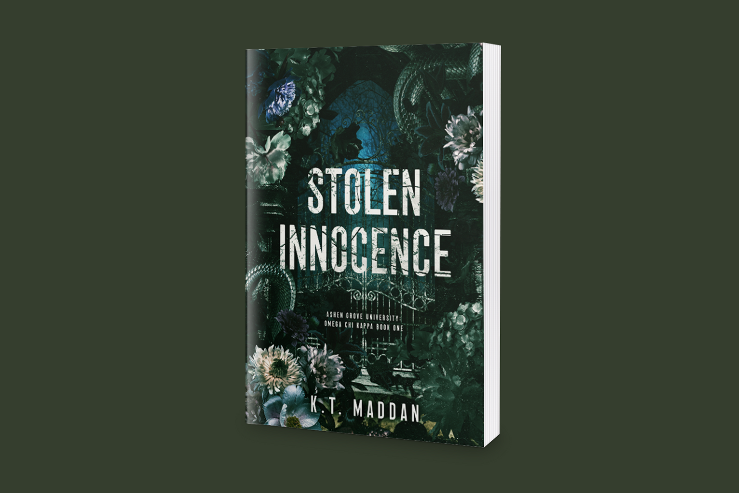 Stolen Innocence - Omega Chi Kappa BOOK ONE SIGNED