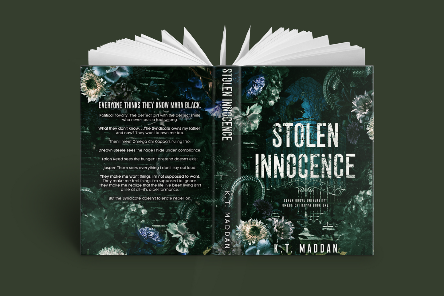 Stolen Innocence - Omega Chi Kappa BOOK ONE SIGNED